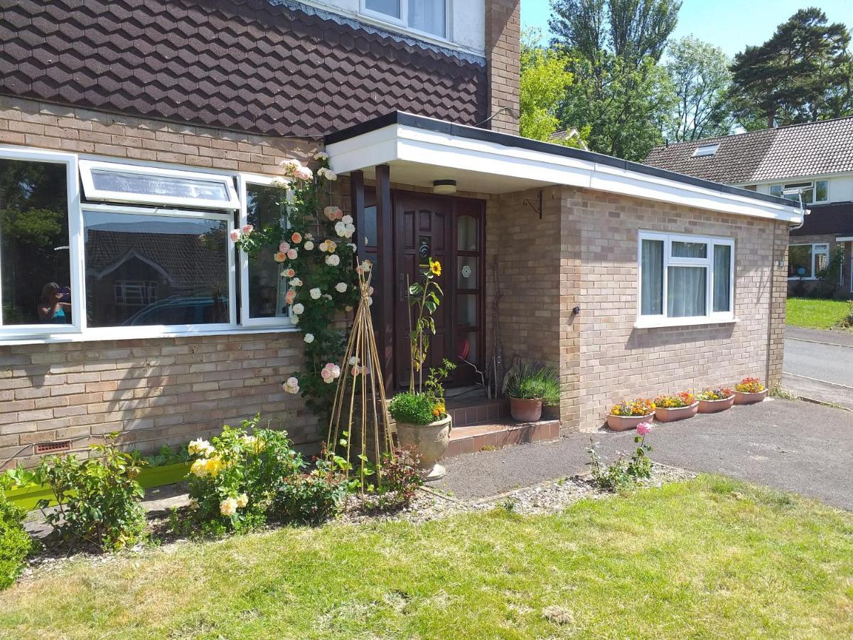 Cheltenham Studio Apartment Екстериор снимка