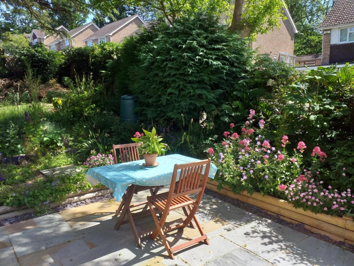 Cheltenham Studio Apartment Екстериор снимка